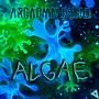 Algae