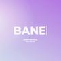 BANE (feat. KID E$s) [Explicit]