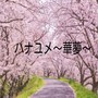 ハナユメ～華・夢～