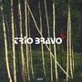 Trio Bravo+