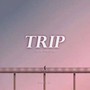 Trip