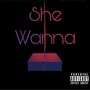 She Wanna (feat. SanTonio & SimEAutomatik) [Explicit]