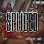 Spliced (Explicit)