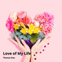 Love of My Life (Instrumental)