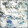 Albatross (Single)