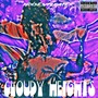 Cloudy Heights (Explicit)