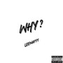 WHY? (Explicit)