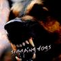 Sleeping Dogs (Explicit)