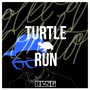 Turtle Run