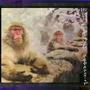 Hotspring (Explicit)