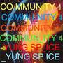 Community 4 (Explicit)