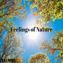 Feelings of Nature