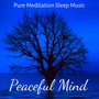 Peaceful Mind - Pure Meditation Sleep Music for Healthy Body Mindfulness Therapy Simple Life with Instrumental Nature New Age Sounds