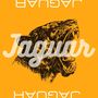 Jaguar (Explicit)