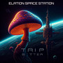 Elation Space Station