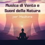 Musica di vento e suoni della natura per meditare