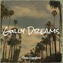 Gully Dreams