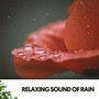 Relaxing Sound of Rain: Serenity in the Storm