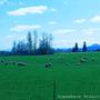 Somewhere Scenic