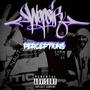 Perceptions (Explicit)