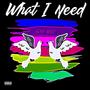 What I Need (Explicit)