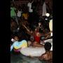 DIP (Explicit)