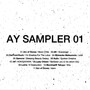 AY Sampler 01