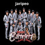 Jaripeo