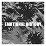 Emotional History (Explicit)