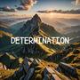 Determination