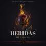 HERIDAS