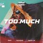 TOO MUCH (feat. Nacely) [Explicit]