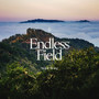 Endless Field