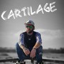 Cartilage (Explicit)