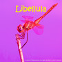 Libellula