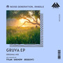 Gruva (Taylan Remix)