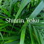 Shinrin Yoku