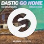 Go Home (Vanished Remix)