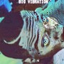 Big Vibration (Explicit)