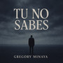 Tu No Sabes (En Vivo)