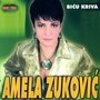 Bicu Kriva (Bosnian and Herzegovian Music)