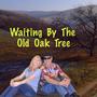 Waiting By The Old Oak Tree