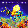 Melifona