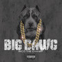 Big Dawg (Explicit)