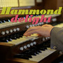 Hammond Delight