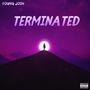 Terminated (Explicit)