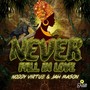 Never Fall in Love (Explicit)