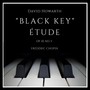 Etudes, Op. 10: No. 5 'Black Keys'