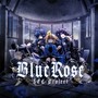 Blue Rose