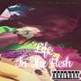 Life In The Flesh (Explicit)